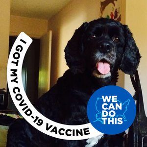 Meet your Posher, Karla